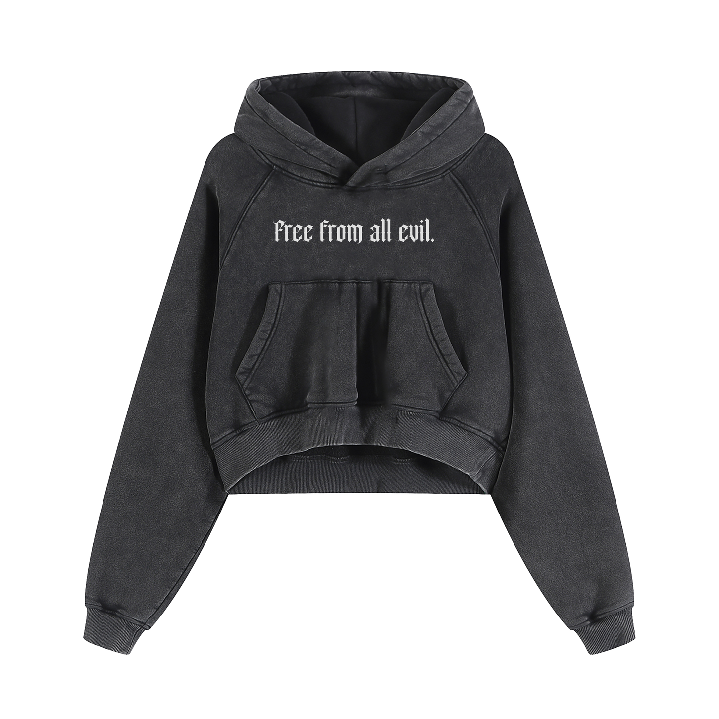 Free From All Evil Snow Washed Cropped Hoodie