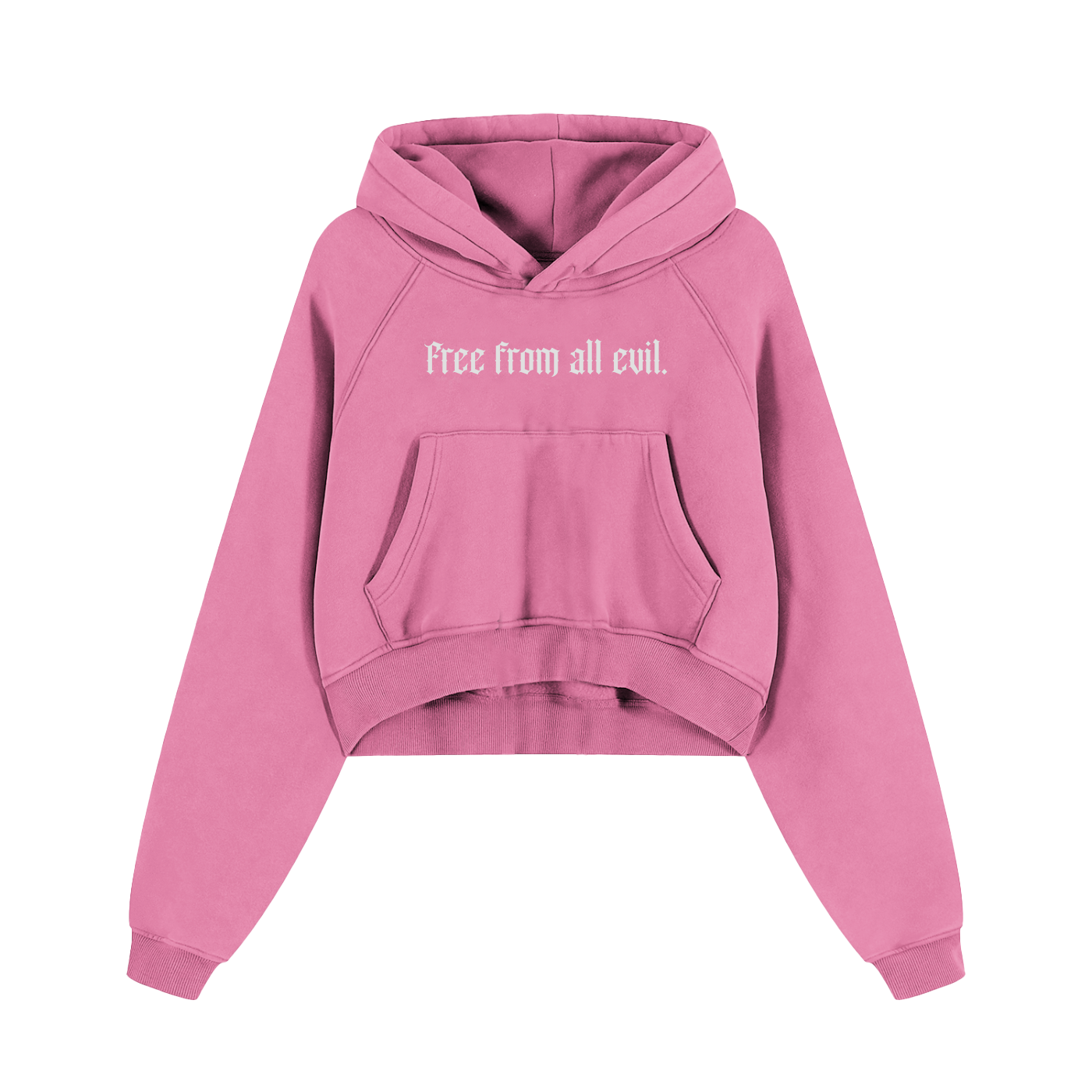 Free From All Evil Snow Washed Cropped Hoodie