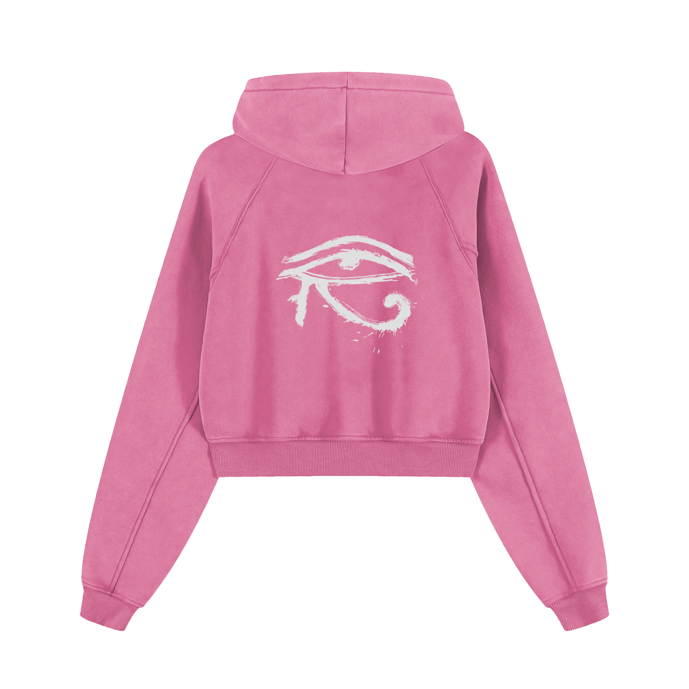 Free From All Evil,cropped hoodie,eye of horus,protection,empowerment,third journey,womans hoodie,hoodie