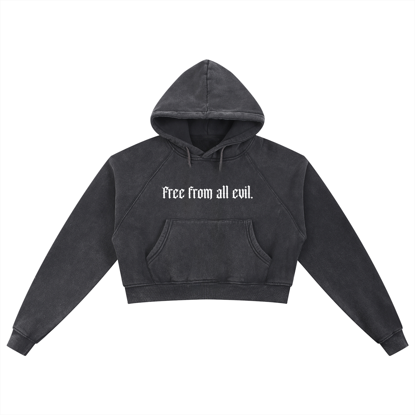 Free From All Evil Snow Washed Cropped Hoodie