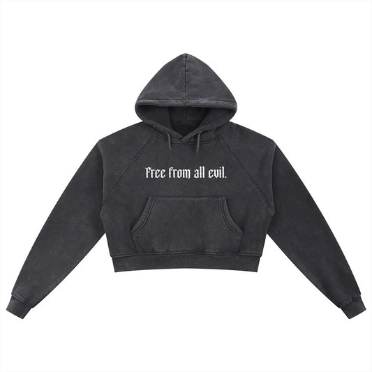 Free From All Evil Snow Washed Cropped Hoodie