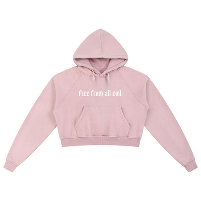 Free From All Evil Snow Washed Cropped Hoodie