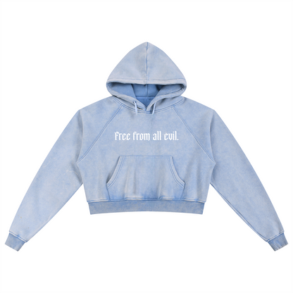 Free From All Evil Snow Washed Cropped Hoodie