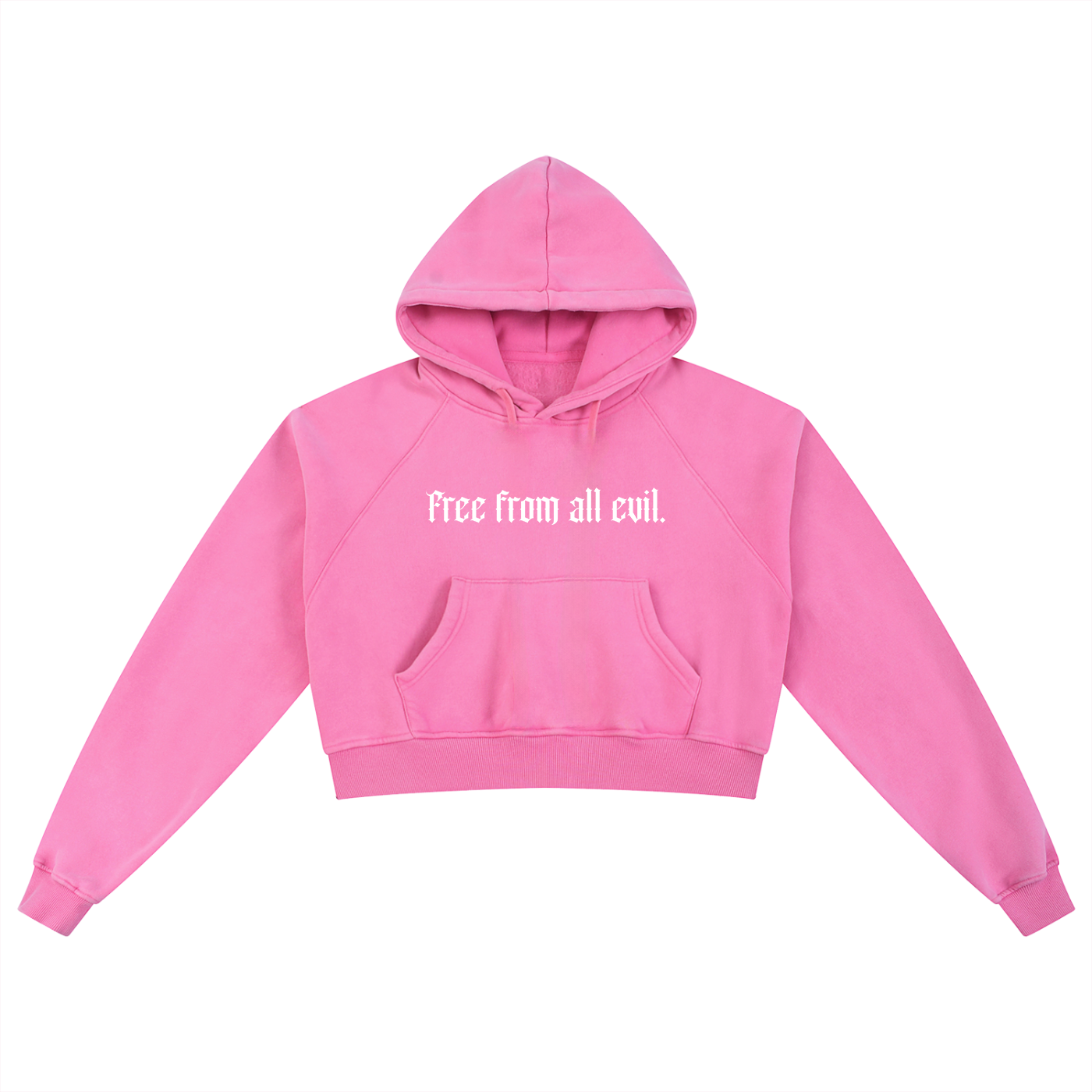 Free From All Evil Snow Washed Cropped Hoodie