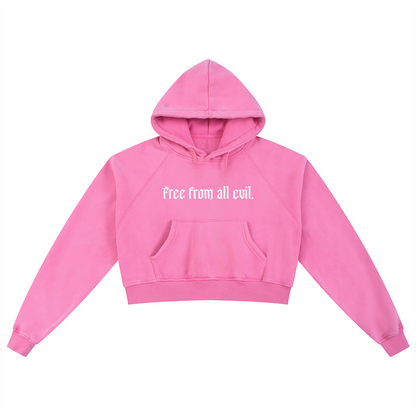 Free From All Evil Snow Washed Cropped Hoodie