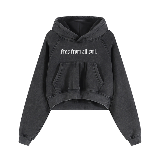 Free From All Evil Snow Washed Cropped Hoodie