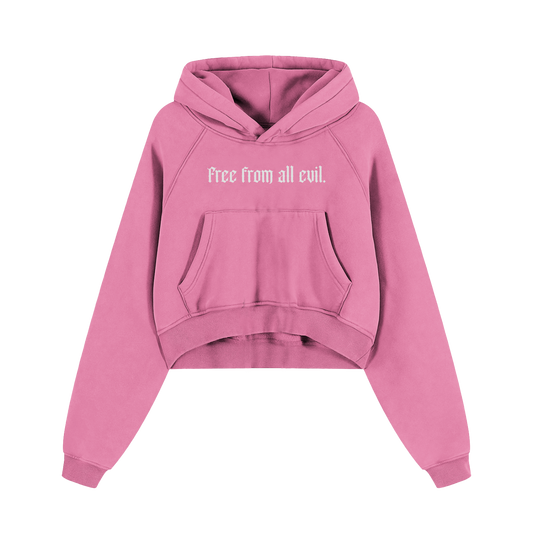 Free From All Evil Snow Washed Cropped Hoodie
